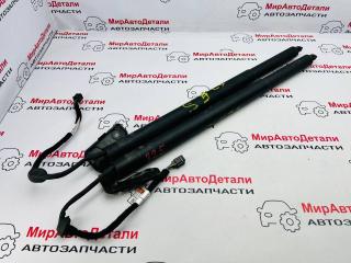 амортизатор крышки багажника (3-5 двери) Alfa Romeo Stelvio 1 поколение 2018, 2.0 л., бензин, АКПП, 505502580