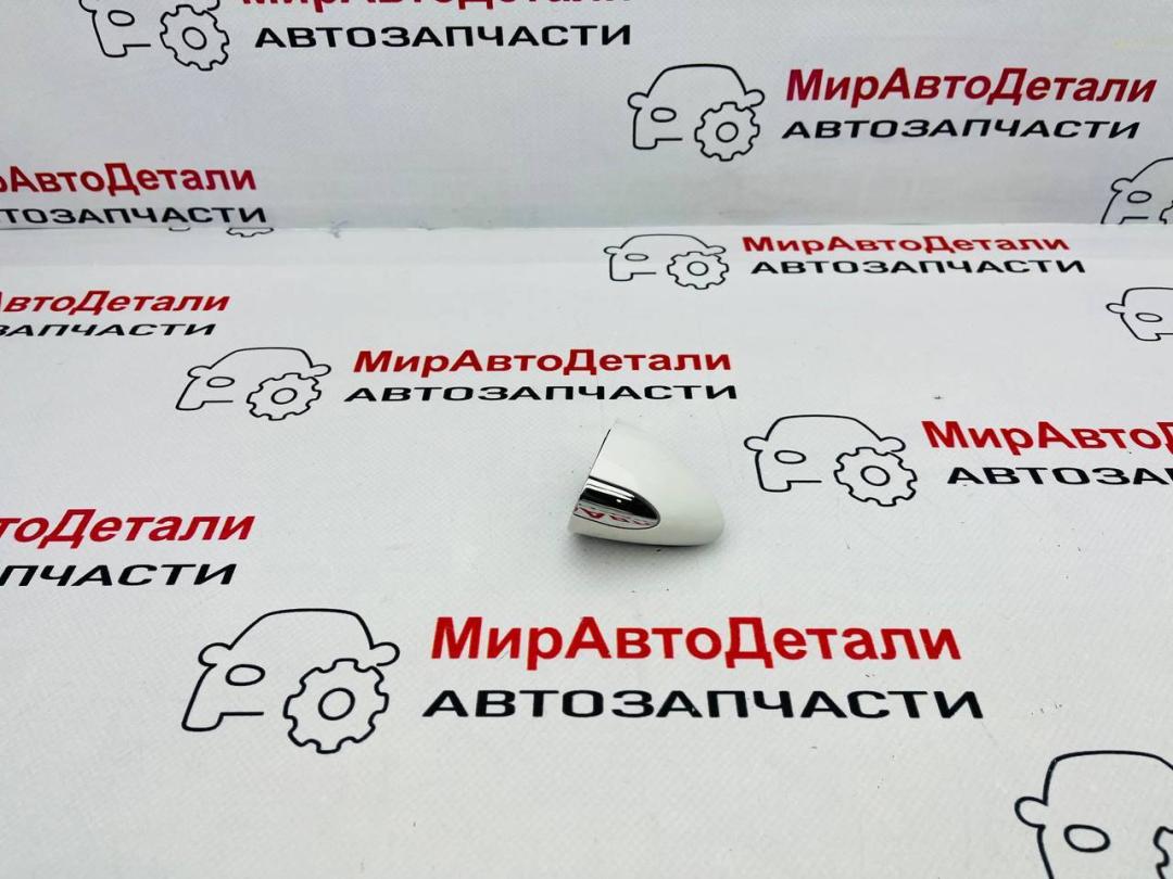 колпачок (заглушка) ручки двери задней правой Buick ENVISION 2 поколение - фото №1