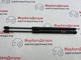 амортизатор капота Buick Regal 6 поколение 2018, 2.0 л., бензин, АКПП, 39150008