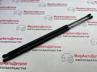амортизатор крышки багажника (3-5 двери) Dodge Grand caravan 4 поколение [рестайлинг], 04589502AA