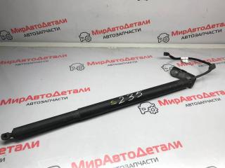 амортизатор крышки багажника (3-5 двери) Alfa Romeo Stelvio 1 поколение 2018, 2.0 л., бензин, АКПП, 505502580
