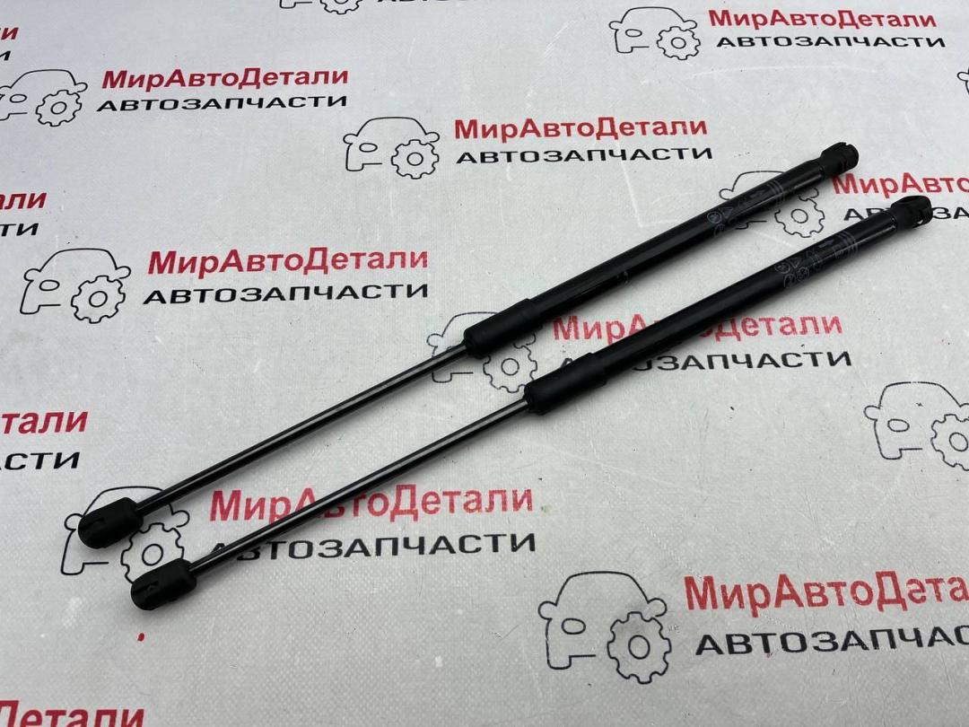 амортизатор капота Buick ENVISION 2 поколение 2023, 2.0 л., бензин, АКПП, 39161360 - фото №1