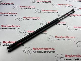 амортизатор крышки багажника (3-5 двери) Ford Escape 3 поколение C520 [рестайлинг] 2019, 1.5 л., бензин, АКПП, GJ54S406A11AB, GJ54S406A10AB