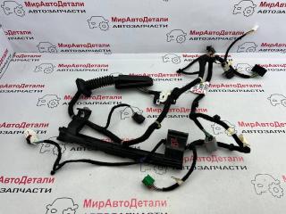 дверная проводка Opel Ampera 2 поколение, 42726387