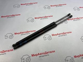 амортизатор крышки багажника (3-5 двери) Chevrolet Bolt EUV 1 поколение 2023, электро, 42841445, 42841446