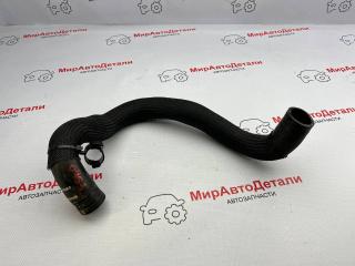 патрубок радиатора Ford Escape 4 поколение CX482 2020, 1.5 л., бензин, АКПП, LX618B273AAD