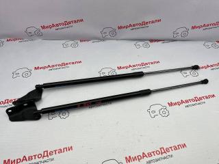 амортизатор крышки багажника (3-5 двери) Buick Envista 1 поколение, 42756030, 42756029