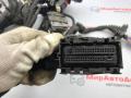 проводка двигателя Chevrolet Equinox 3 поколение 2019, 2.0 л., бензин, АКПП, 84421589 - фото №3