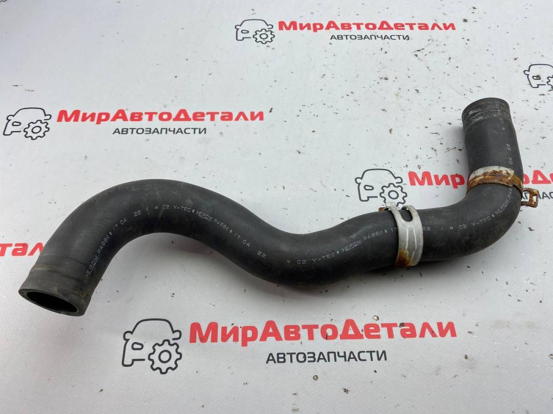 патрубок радиатора Honda Civic 10 поколение 2018, 1.5 л., бензин, МКПП, хетчбэк 5 дв. - фото №1