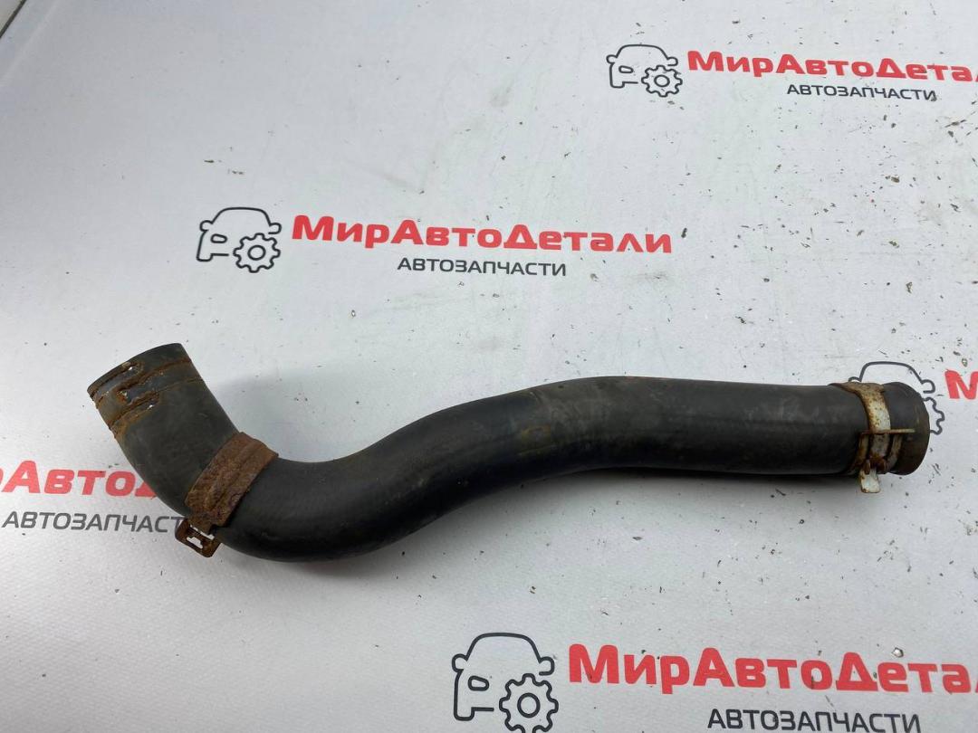 патрубок радиатора Honda Civic 10 поколение 2017, 1.5 л., бензин, АКПП, хетчбэк 5 дв. - фото №1