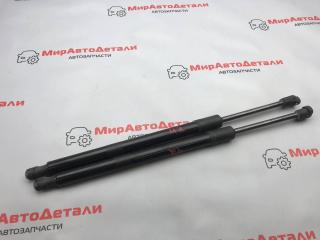 амортизатор крышки багажника (3-5 двери) Opel Ampera 2 поколение, 95429721, 95429722