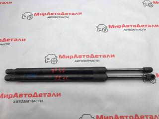 амортизатор крышки багажника (3-5 двери) Opel Ampera 2 поколение, 95429721, 95429722