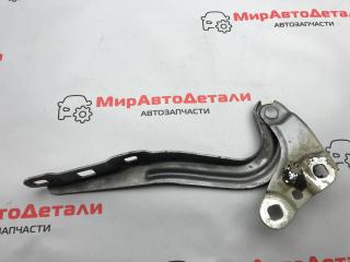петля капота Chevrolet Equinox 3 поколение 2018, 1.6 л., дизель, АКПП, 84054684