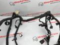 проводка двигателя Ford Escape 4 поколение CX482 2020, 1.5 л., бензин, АКПП, LX6T12C508EC, LX6T12C508ECG281Z - фото №4